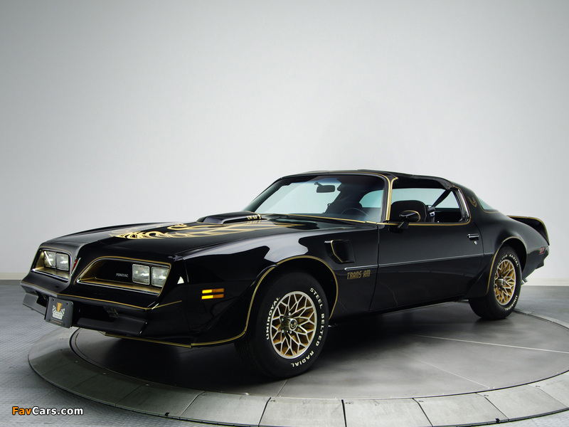 Images of Pontiac Firebird Trans Am T/A 6.6 W72 Black Special Edition 1978 (800 x 600)