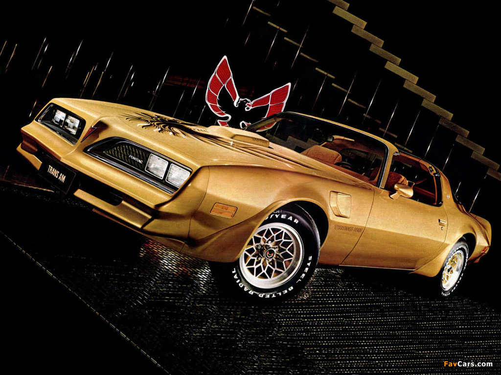 Images of Pontiac Firebird Trans Am Gold Special Edition 1978 (1024 x 768)
