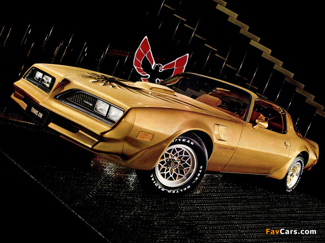 Images of Pontiac Firebird Trans Am Gold Special Edition 1978 (640 x 480)