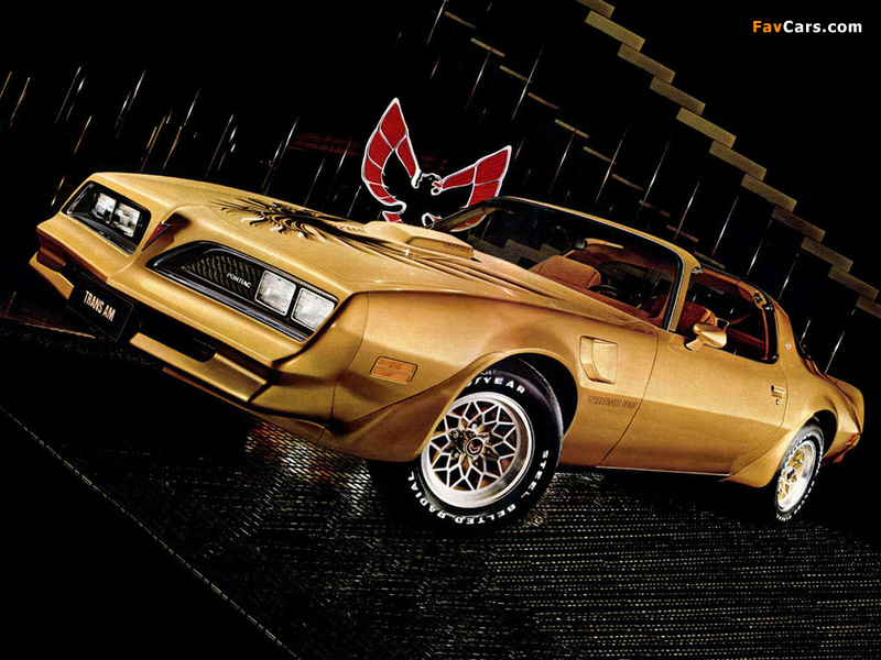 Images of Pontiac Firebird Trans Am Gold Special Edition 1978 (800 x 600)