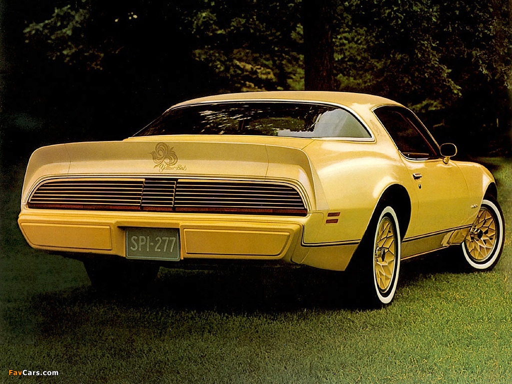 Images of Pontiac Firebird Esprit Yellowbird 1980 (1024 x 768)