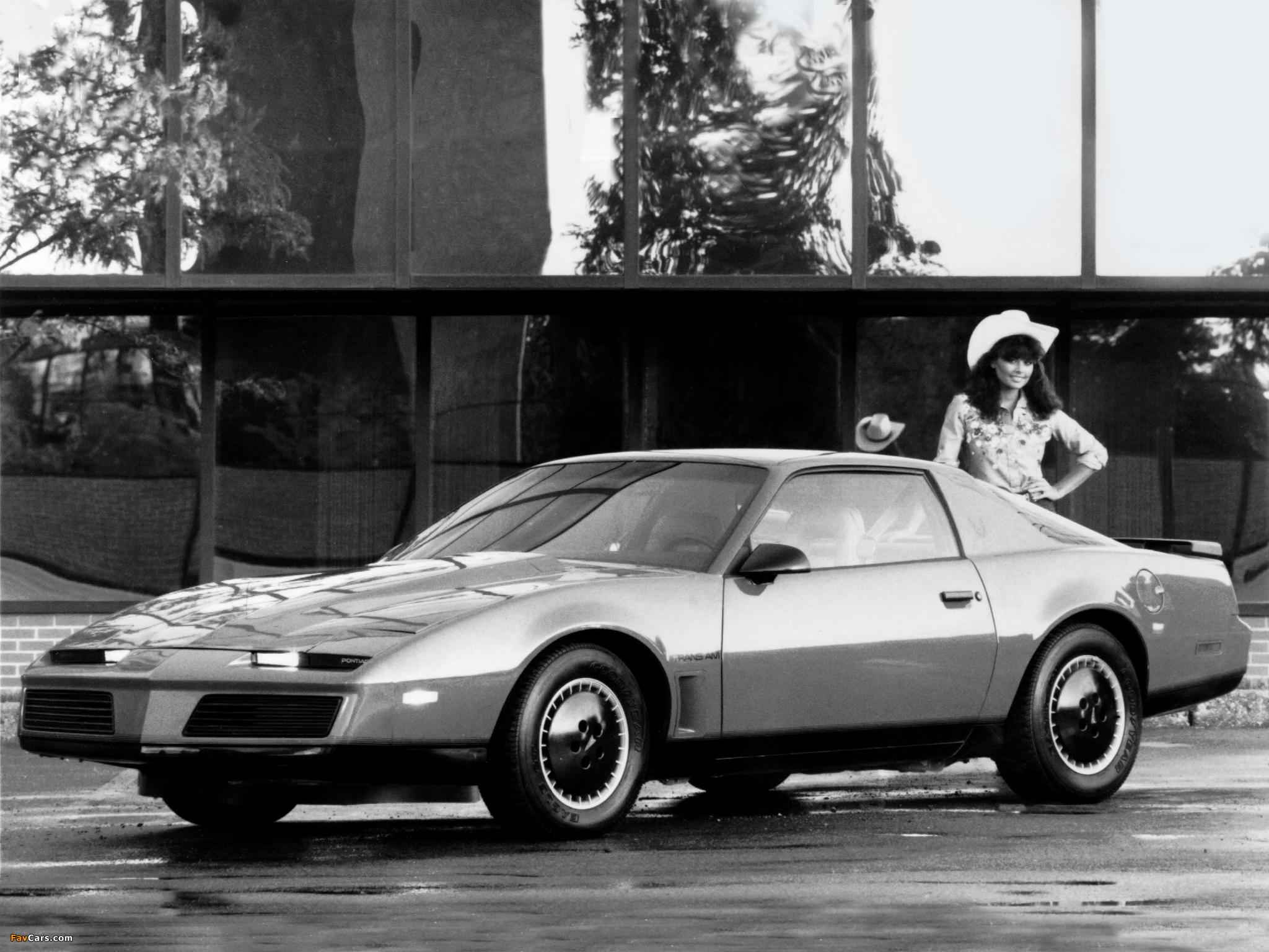 Images of Pontiac Firebird Trans Am 1983–85 (2048 x 1536)