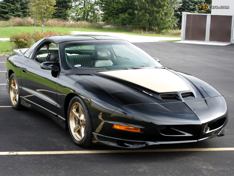 Images of Lingenfelter Pontiac Firebird Trans Am Ram Air (800 x 600)