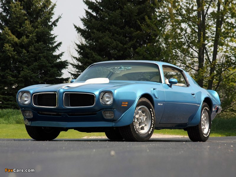 Photos of Pontiac Firebird Trans Am 1970–73 (800 x 600)