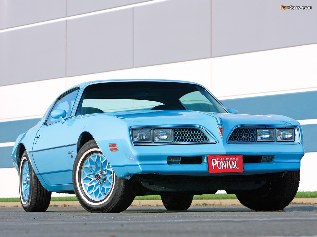 Photos of Pontiac Firebird Esprit Sky Bird 1977–78 (1024 x 768)