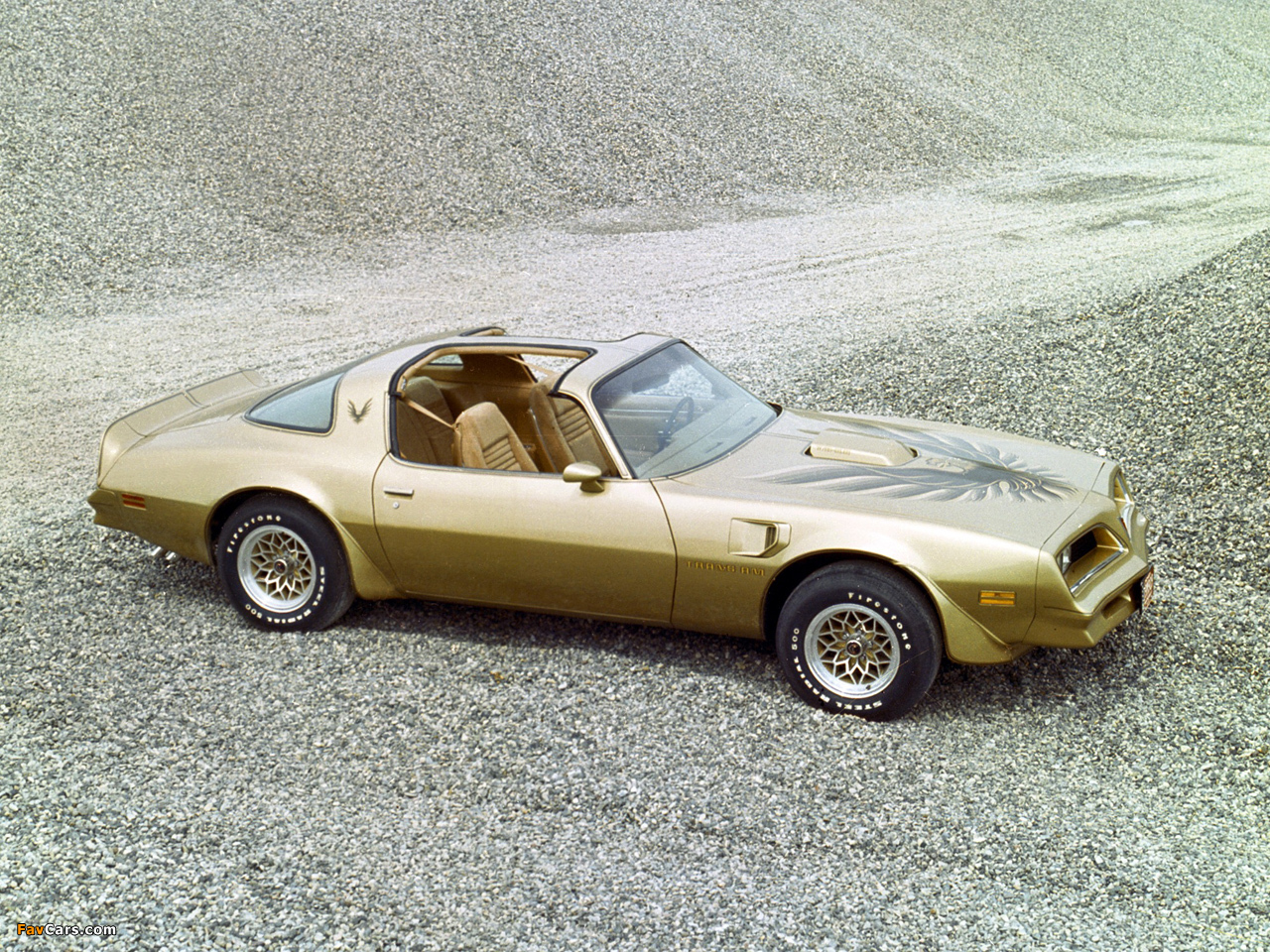 Photos of Pontiac Firebird Trans Am Gold Special Edition 1978 (1280 x 960)