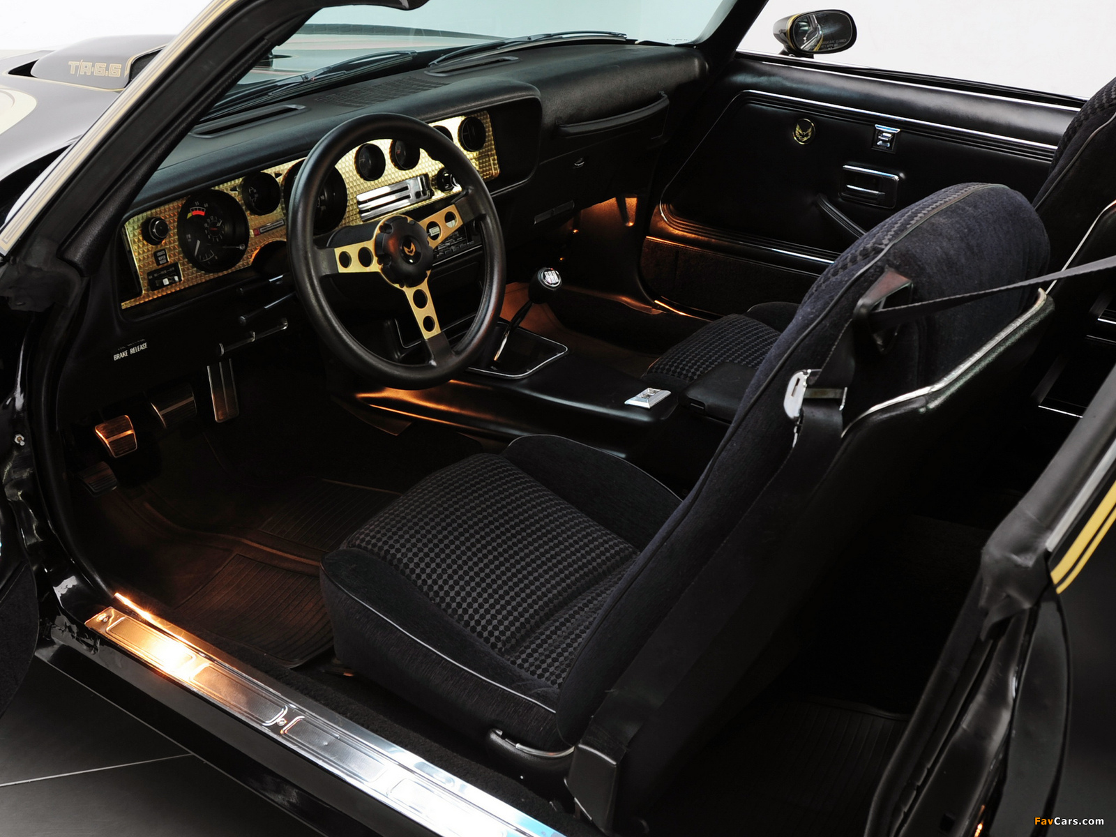 Photos of Pontiac Firebird Trans Am T/A 6.6 L78 Special Edition 1979 (1600 x 1200)