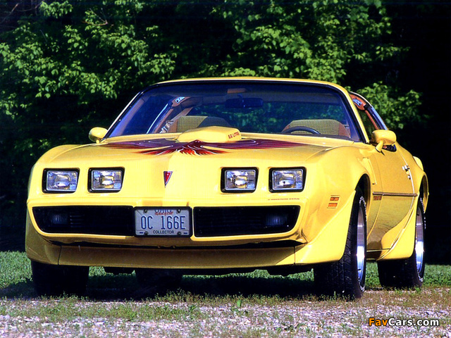 Photos of Pontiac Firebird Trans Am 6.6 L80 T-Top 1979 (640 x 480)