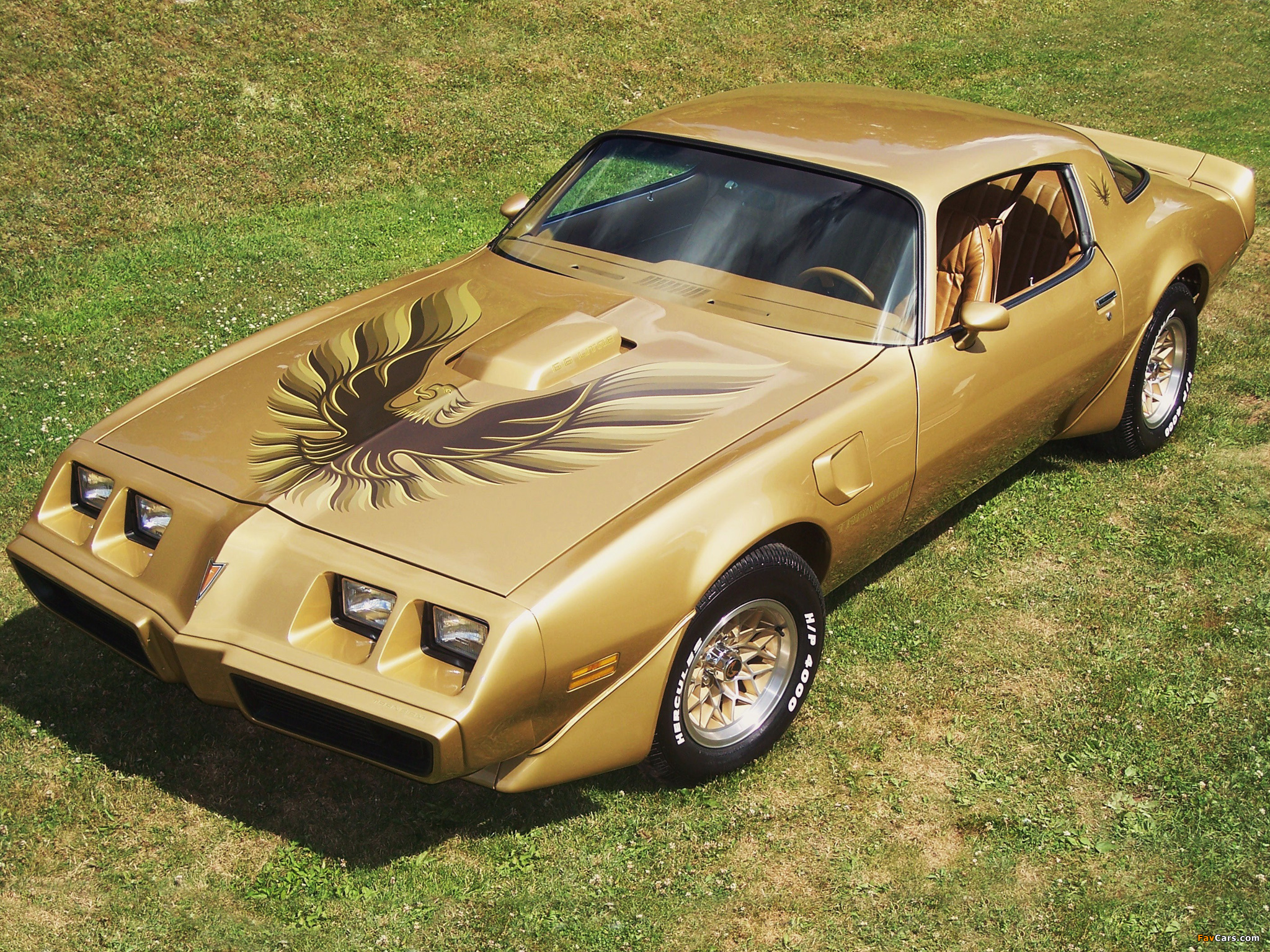 Photos of Pontiac Firebird Trans Am 6.6 L80 1979 (2048 x 1536)