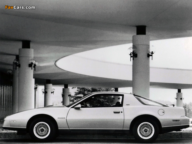 Photos of Pontiac Firebird SE 1983 (640 x 480)