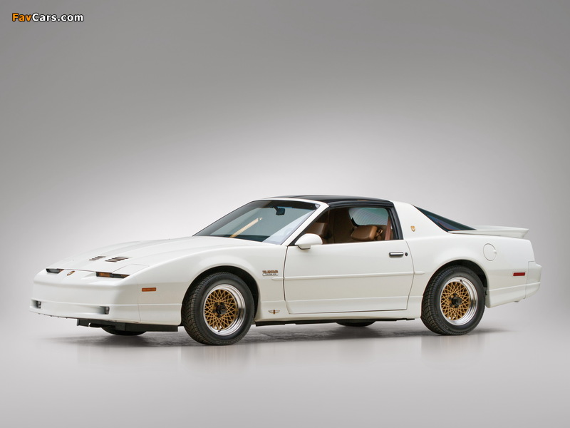 Photos of Pontiac Firebird Trans Am Turbo 1989 (800 x 600)