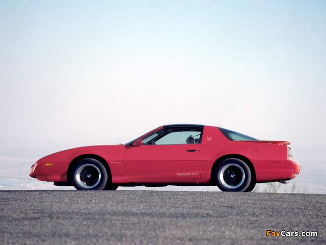 Photos of Pontiac Firebird Trans Am T-Roof 1991–92 (640 x 480)