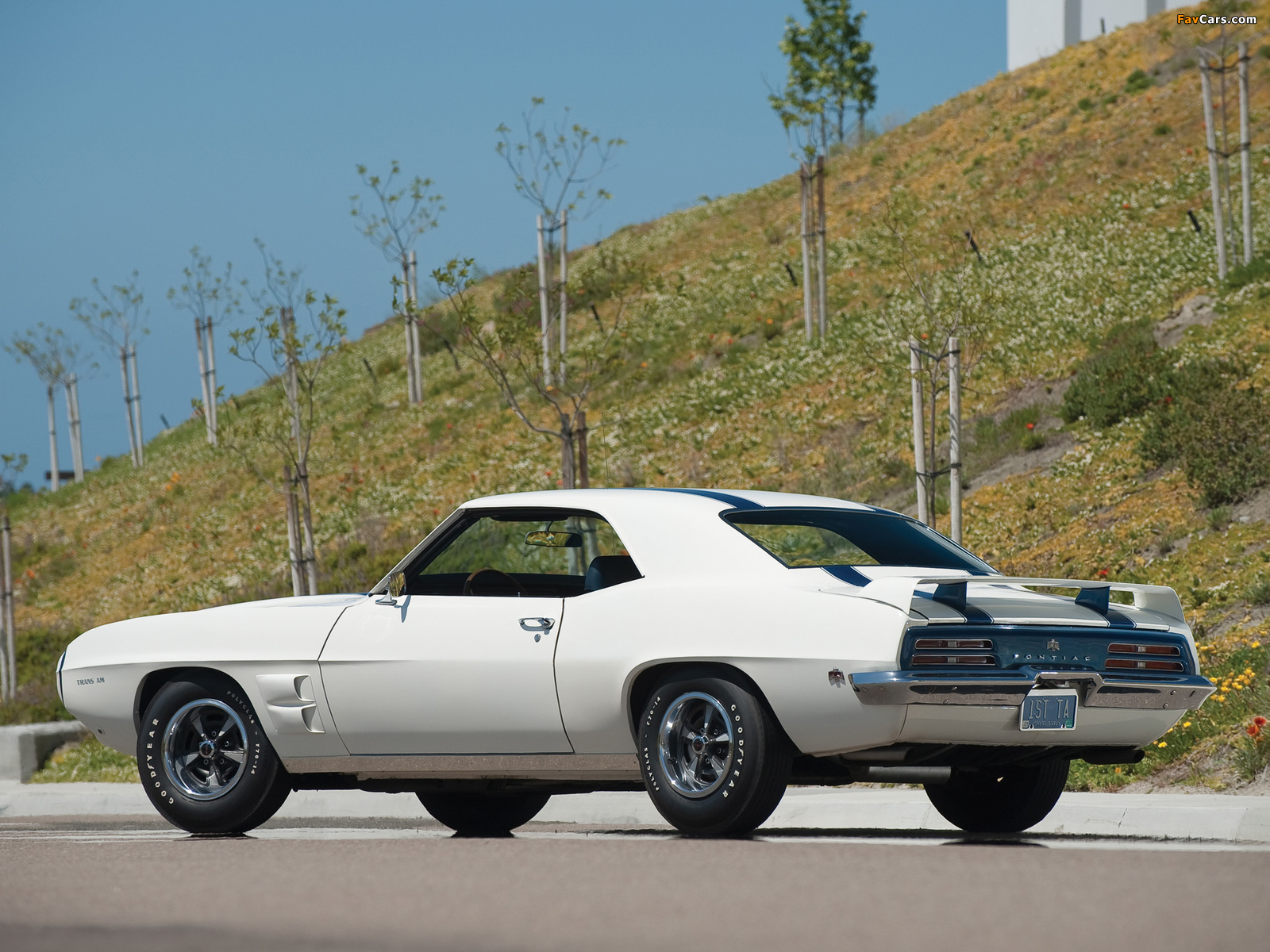 Pictures of Pontiac Firebird Trans Am 1969 (1600 x 1200)