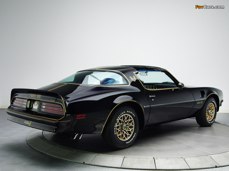Pictures of Pontiac Firebird Trans Am T/A 6.6 W72 Black Special Edition 1978 (800 x 600)