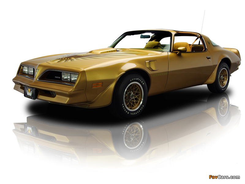 Pictures of Pontiac Firebird Trans Am Gold Special Edition 1978 (800 x 600)