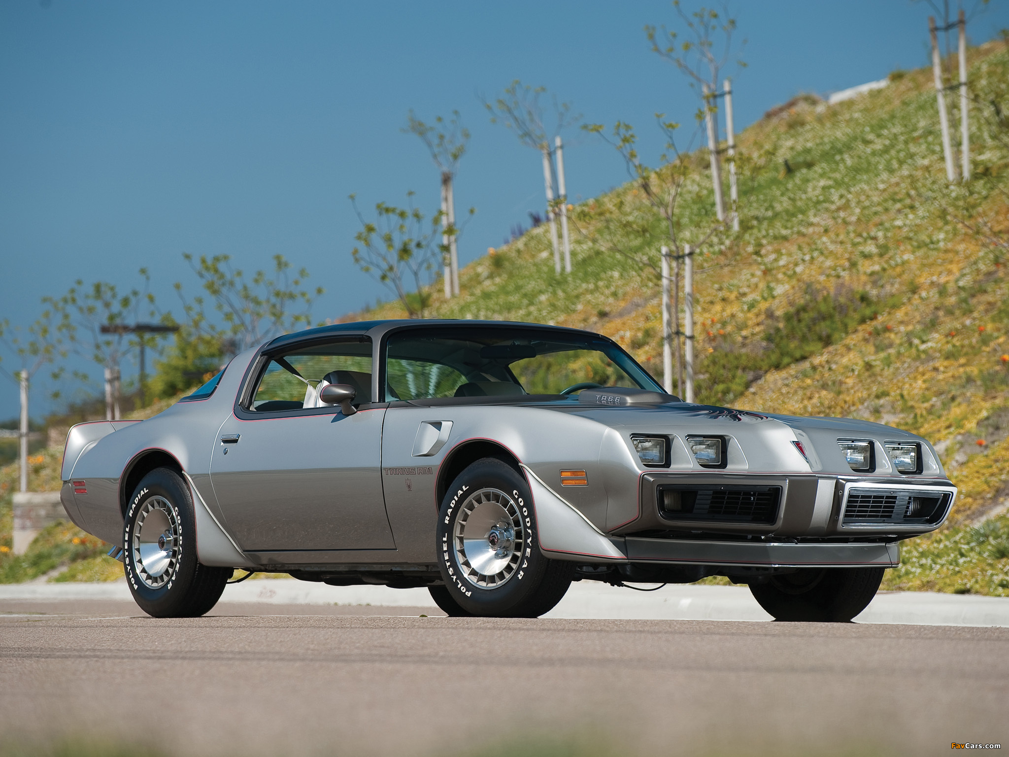 Pictures of Pontiac Firebird Trans Am T/A 6.6 L78 10th Anniversary 1979 (2048 x 1536)