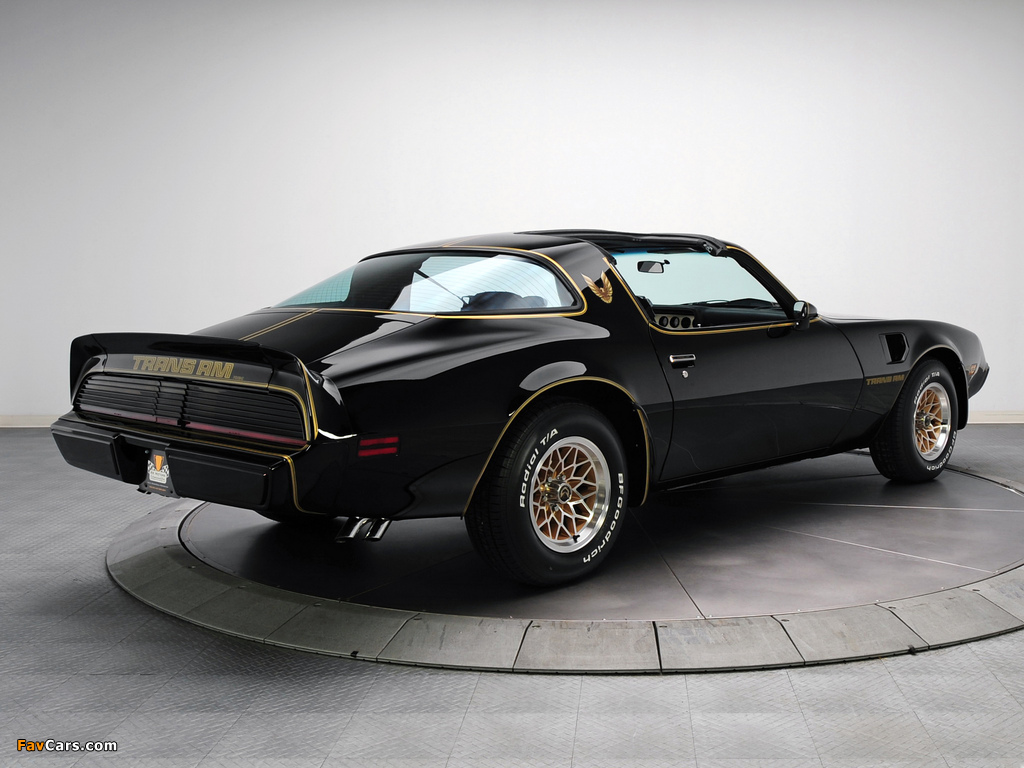 Pictures of Pontiac Firebird Trans Am T/A 6.6 L78 Special Edition 1979 (1024 x 768)