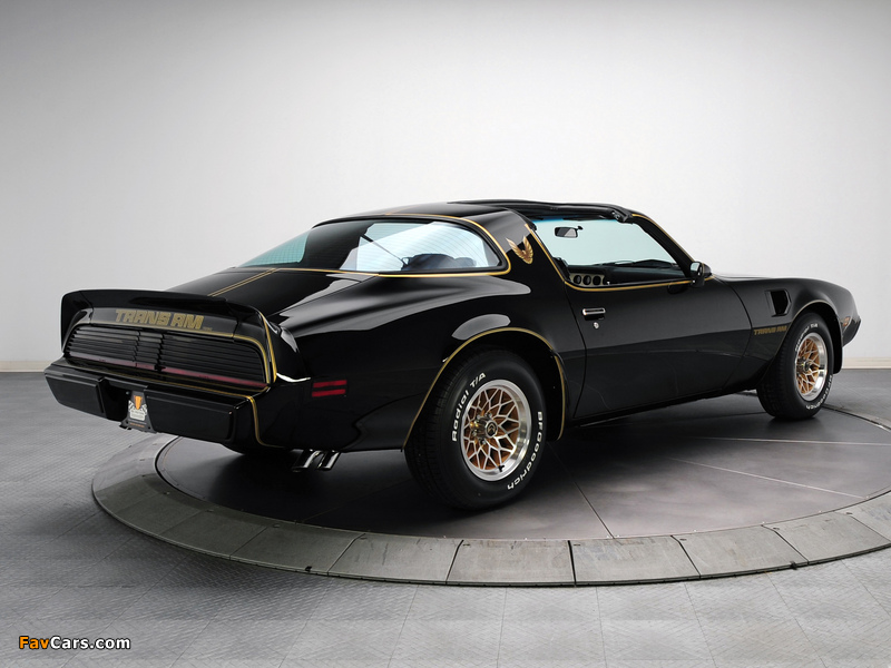 Pictures of Pontiac Firebird Trans Am T/A 6.6 L78 Special Edition 1979 (800 x 600)