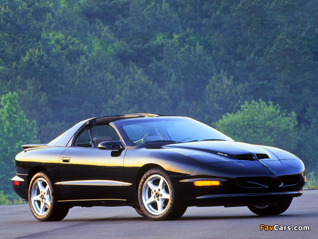 Pictures of Pontiac Firebird Formula 1993–97 (640 x 480)