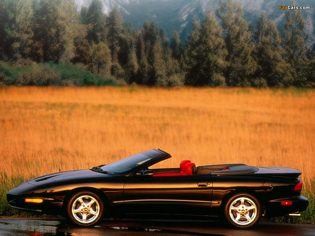 Pictures of Pontiac Firebird Convertible 1993–97 (1024 x 768)