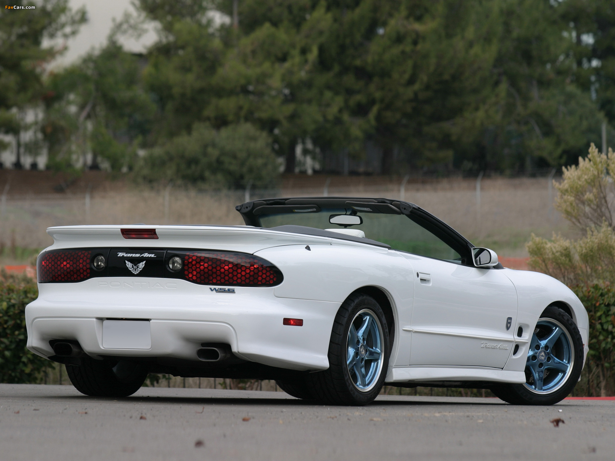Pictures of Pontiac Firebird Trans Am Convertible 30th Anniversary 1999 (2048 x 1536)