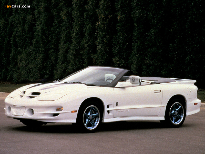 Pictures of Pontiac Firebird Trans Am Convertible 30th Anniversary 1999 (800 x 600)