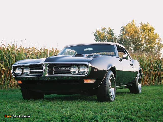 Pontiac Firebird 400 Convertible (2367) 1968 pictures (640 x 480)