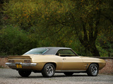 Pontiac Firebird (2337) 1969 photos