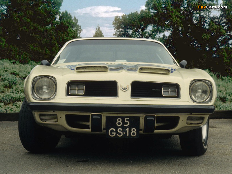 Pontiac Firebird Formula 1974 pictures (800 x 600)