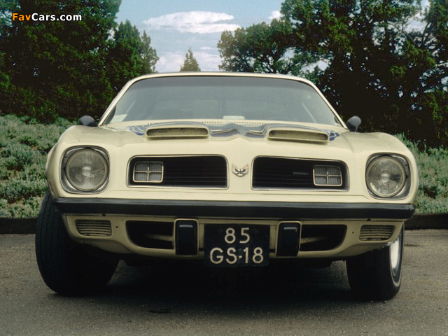 Pontiac Firebird Formula 1974 pictures (640 x 480)
