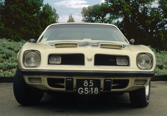 Pontiac Firebird Formula 1974 pictures