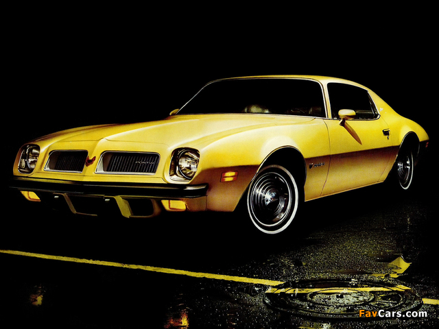 Pontiac Firebird Esprit (T87) 1974 pictures (640 x 480)