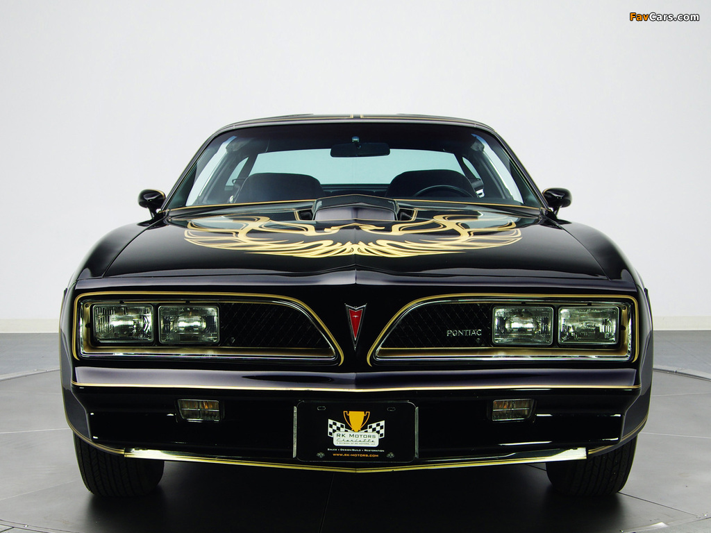 Pontiac Firebird Trans Am T/A 6.6 W72 Black Special Edition 1978 photos (1024 x 768)