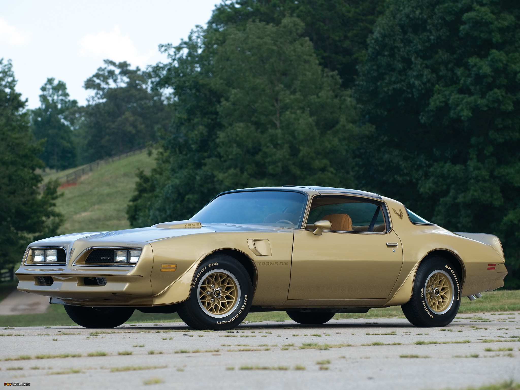 Pontiac Firebird Trans Am Gold Special Edition 1978 pictures (2048 x 1536)