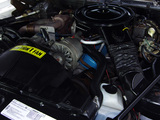 Pontiac Firebird Trans Am Turbo 1980 images