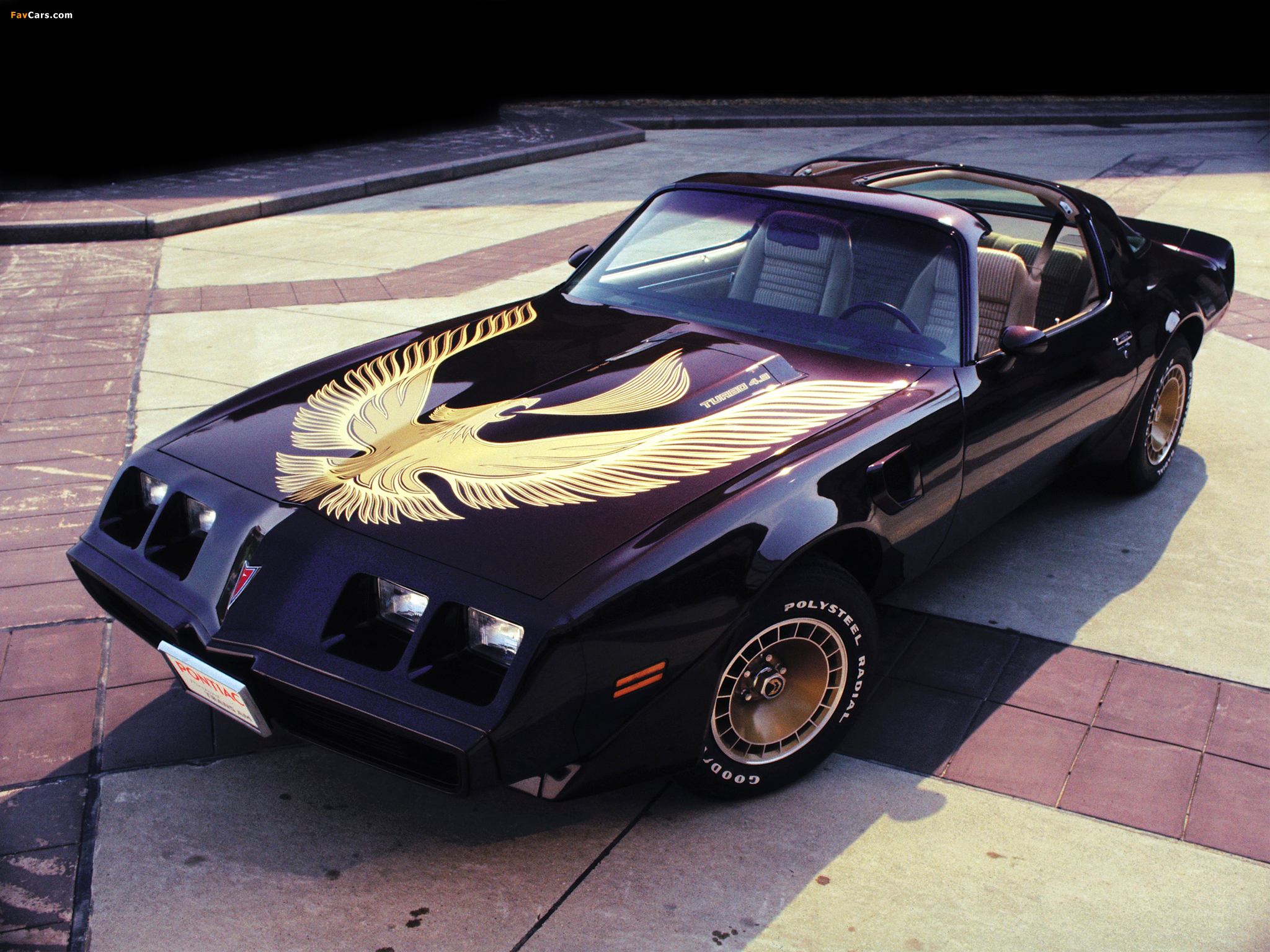 Pontiac Firebird Trans Am Turbo Black & Gold Special Edition 1980–81 photos (2048 x 1536)