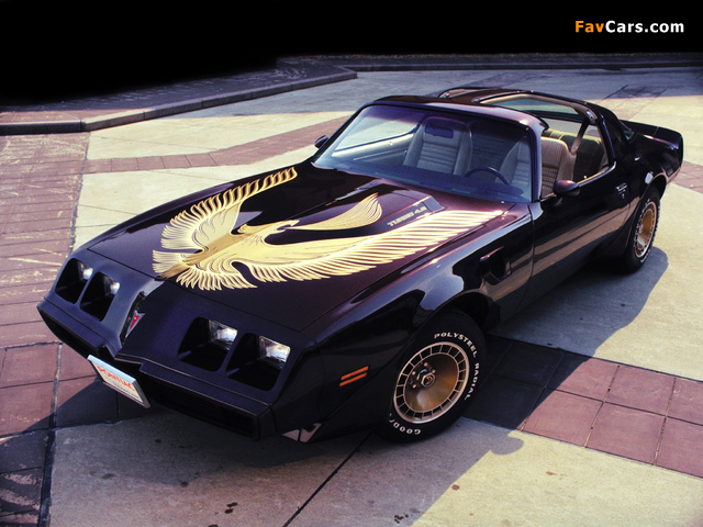 Pontiac Firebird Trans Am Turbo Black & Gold Special Edition 1980–81 photos (640 x 480)