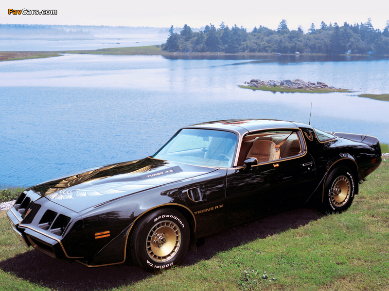 Pontiac Firebird Trans Am Bandit 1981 pictures (800 x 600)