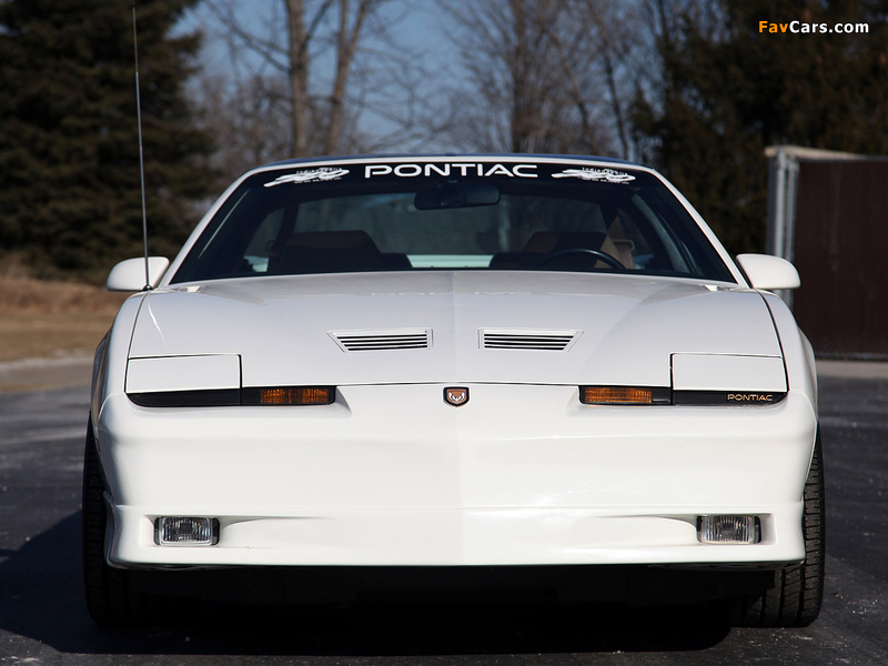 Pontiac Firebird Trans Am Turbo 20th Anniversary Indy 500 Pace Car 1989 pictures (800 x 600)