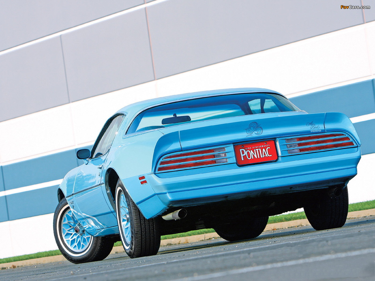 Pontiac Firebird Esprit Sky Bird 1977–78 wallpapers (1280 x 960)