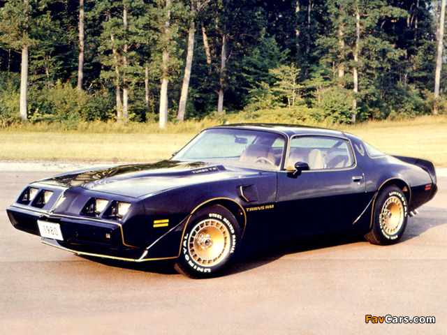 Pontiac Firebird Trans Am Turbo Black & Gold Special Edition 1980–81 wallpapers (640 x 480)