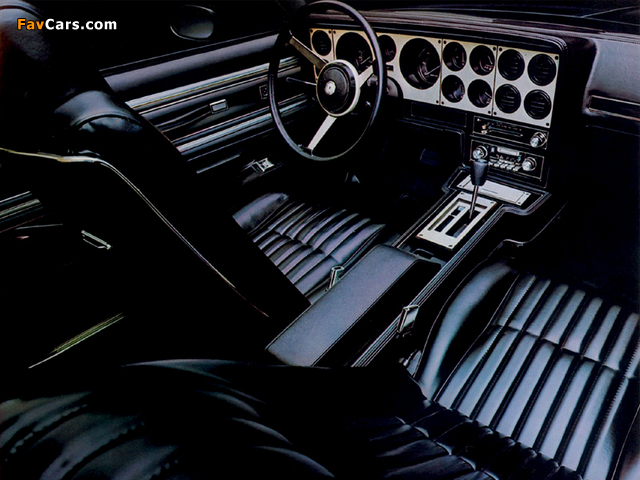 Photos of Pontiac Grand Am Coupe 1978–80 (640 x 480)