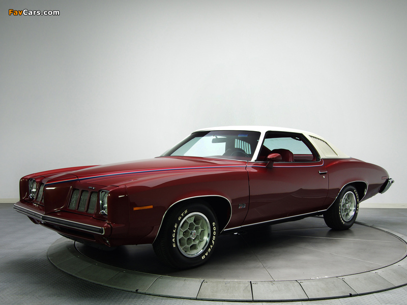 Pontiac Grand Am Solonnade Hardtop Coupe (H37) 1973 wallpapers (800 x 600)