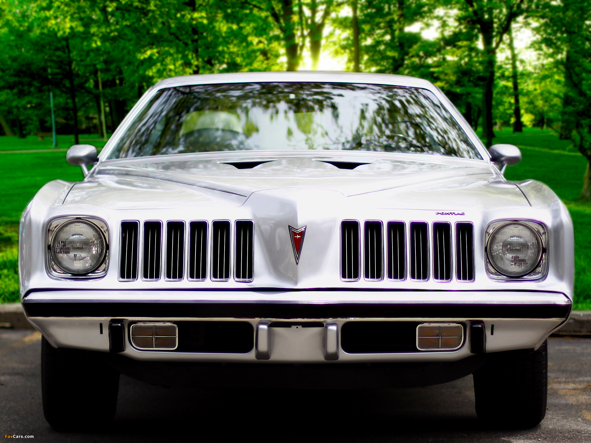 Pontiac Grand Am Colonnade Hardtop Coupe (H37) 1974 pictures (2048 x 1536)