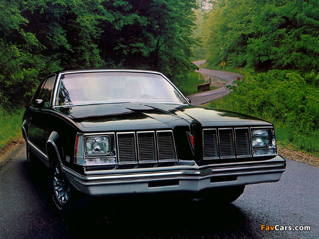 Pontiac Grand Am Coupe 1978–80 wallpapers (640 x 480)