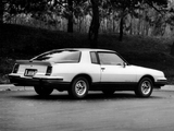 Images of Pontiac Grand Prix Aero Coupe 2+2 1986
