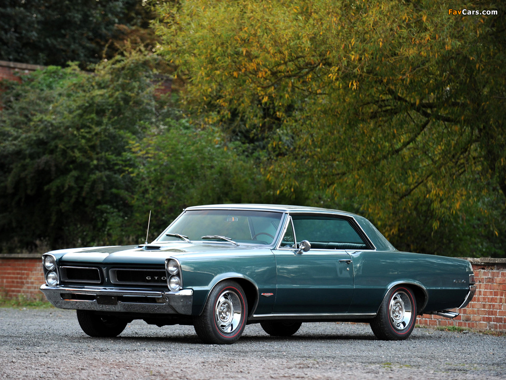 Images of Pontiac Tempest LeMans GTO Coupe 1965 (1024 x 768)