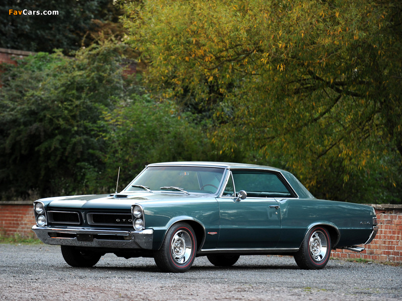 Images of Pontiac Tempest LeMans GTO Coupe 1965 (800 x 600)