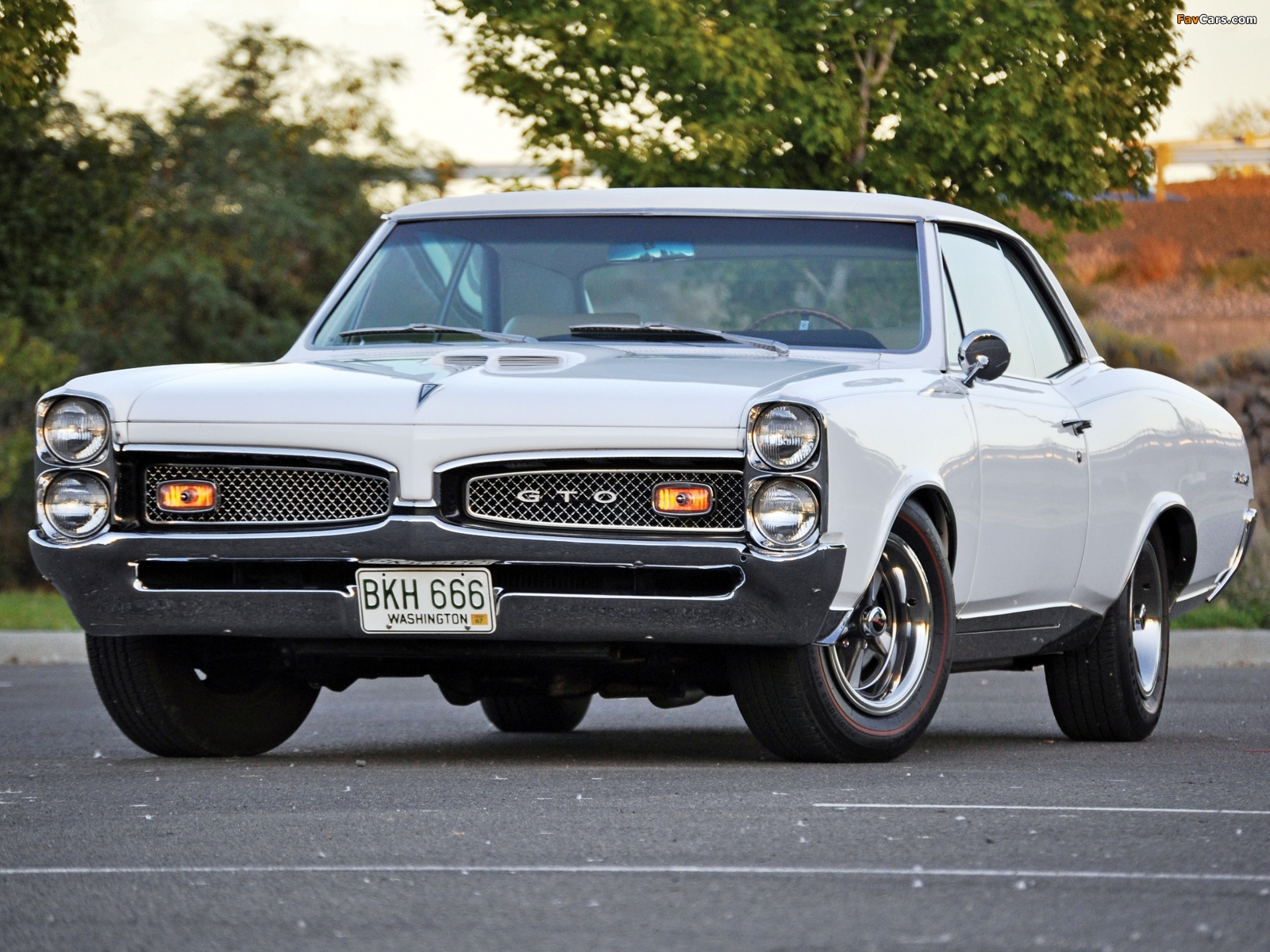 Images of Pontiac Tempest GTO Hardtop Coupe 1967 (1600 x 1200)