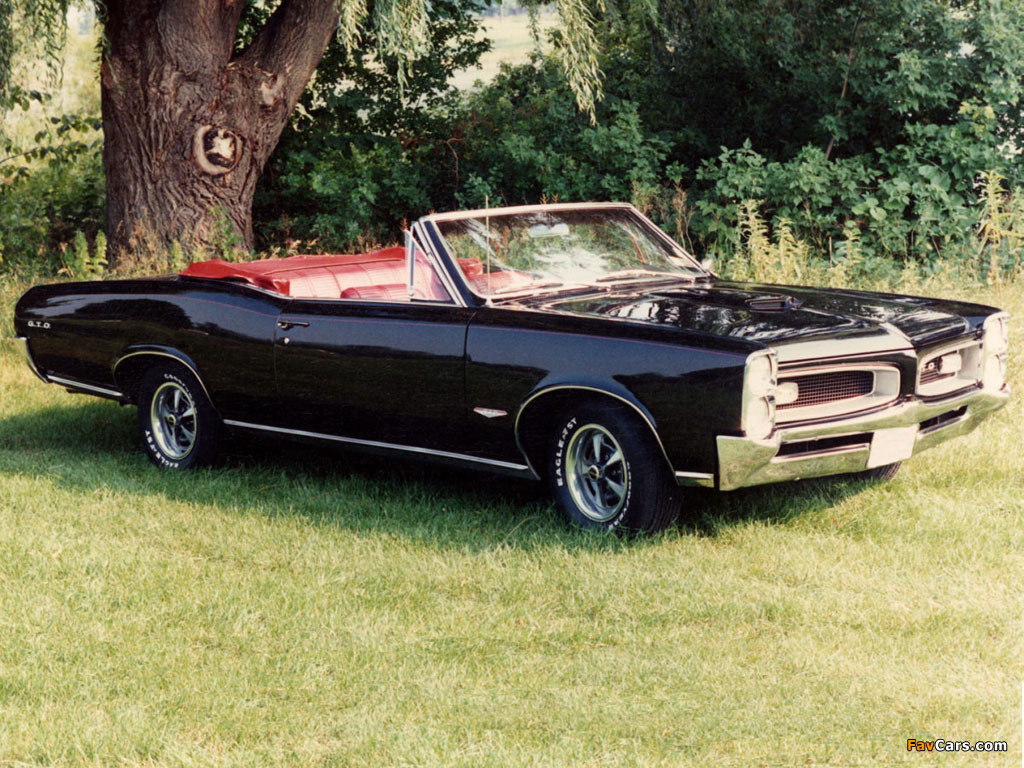 Photos of Pontiac Tempest GTO Convertible 1966 (1024 x 768)